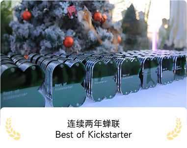 连续两年蝉联 Best of Kickstarter